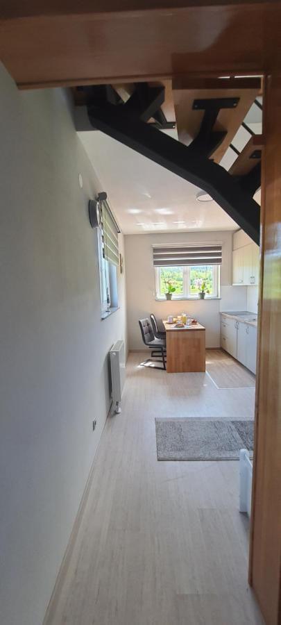 Apartmani Fenestra Tesla I Faust Otocac Exterior photo